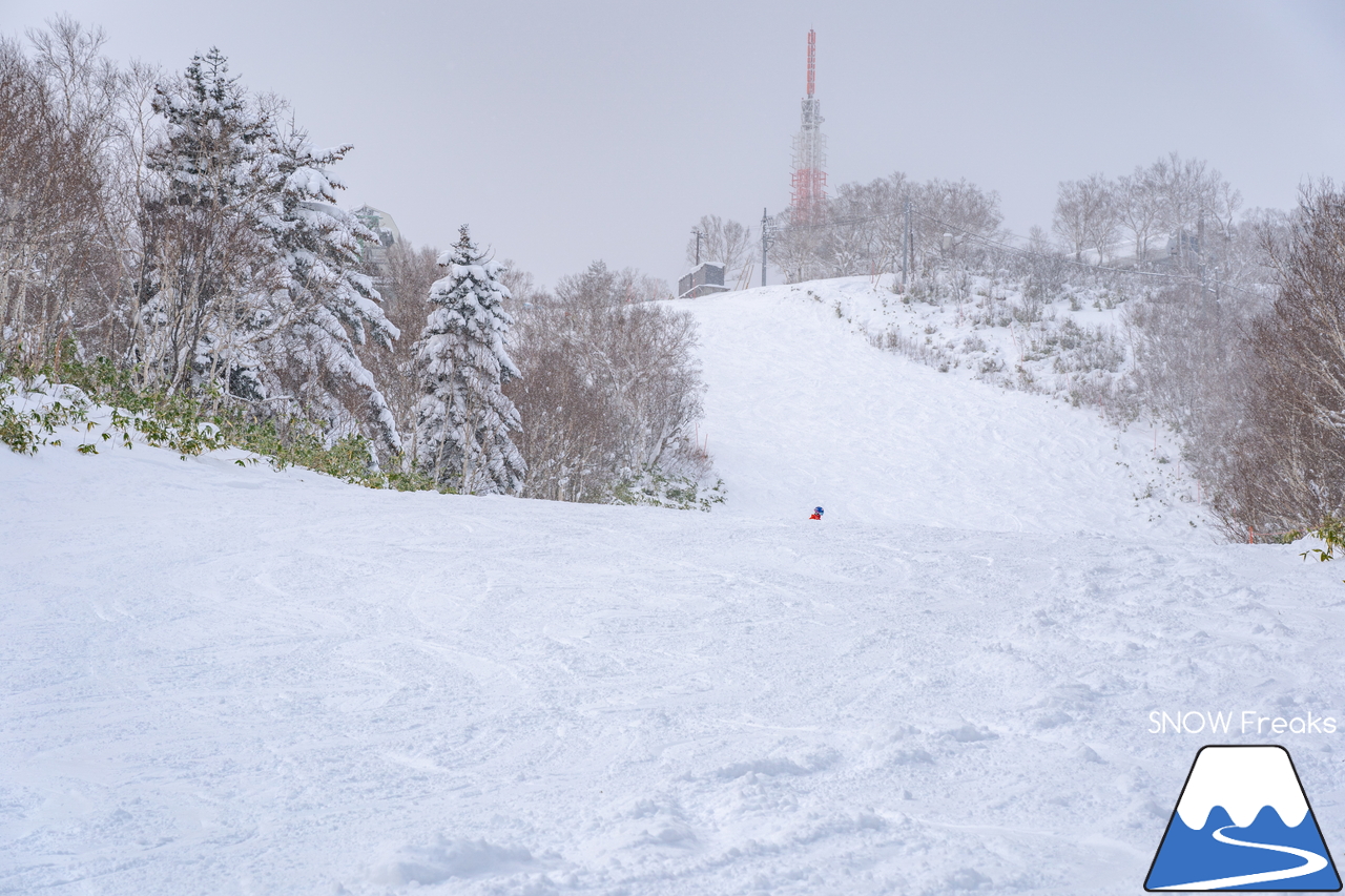 サッポロテイネ｜-10℃。雪質はパウダー。サミットエクスプレスに乗ってロング滑走を楽しみましょう！